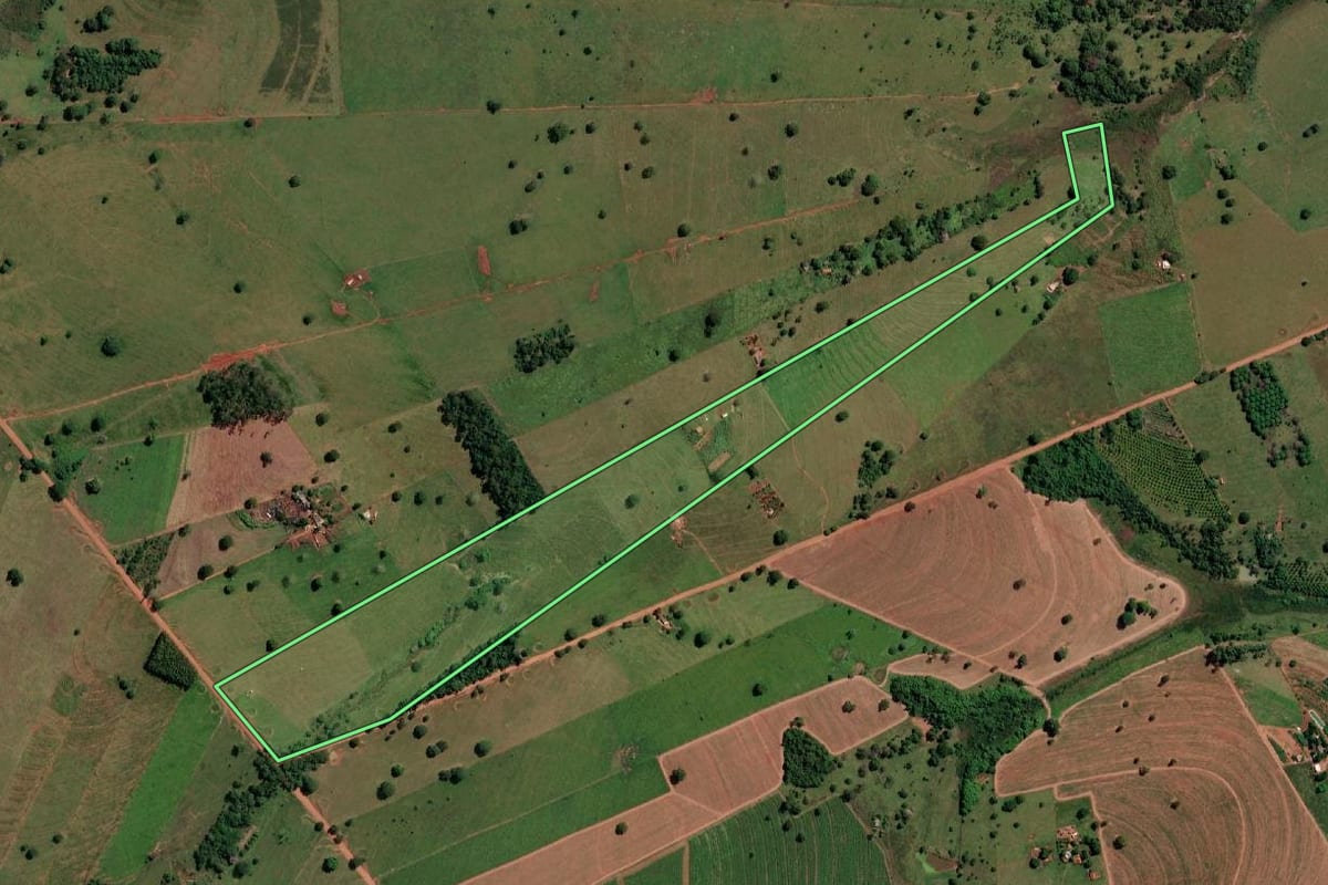 Imagem de satélite do imóvel rural em Santa Fé do Sul (SP), com o contorno declarado no CAR desenhado por cima.