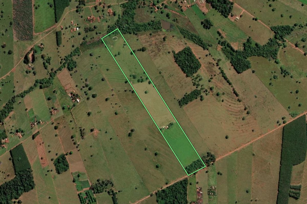 Imagem de satélite do imóvel rural em Santa Fé do Sul (SP), com o contorno declarado no CAR desenhado por cima.
