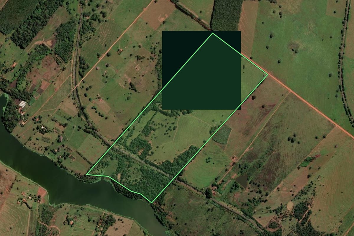 Imagem de satélite do imóvel rural em Santa Fé do Sul (SP), com o contorno declarado no CAR desenhado por cima.