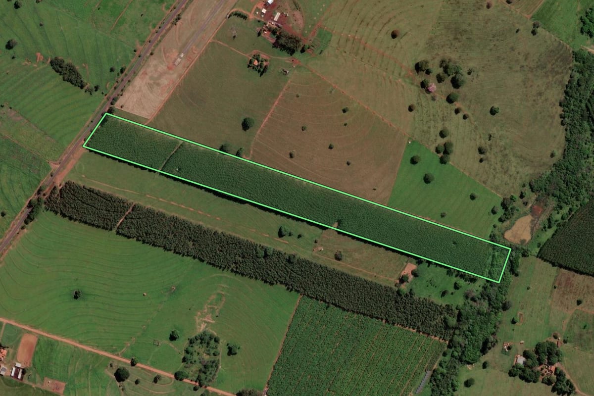 Imagem de satélite do imóvel rural em Santa Fé do Sul (SP), com o contorno declarado no CAR desenhado por cima.