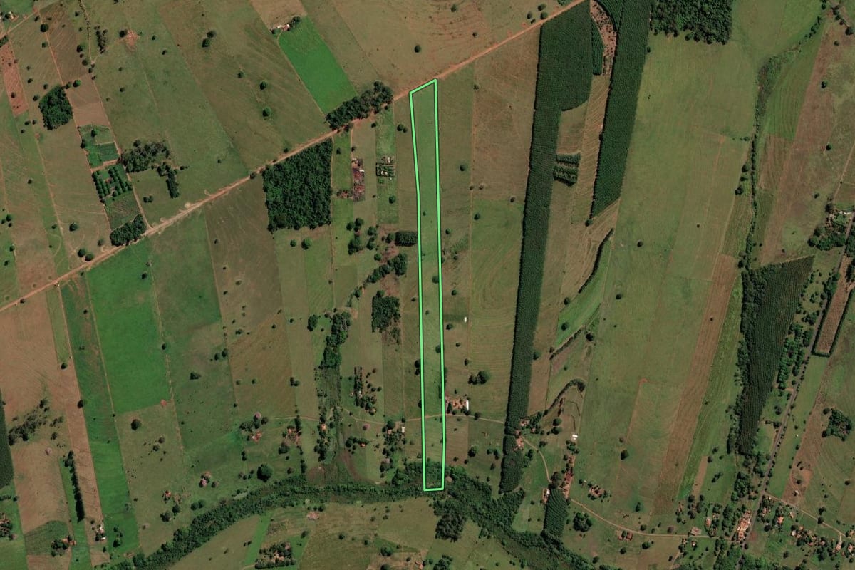 Imagem de satélite do imóvel rural em Santa Fé do Sul (SP), com o contorno declarado no CAR desenhado por cima.