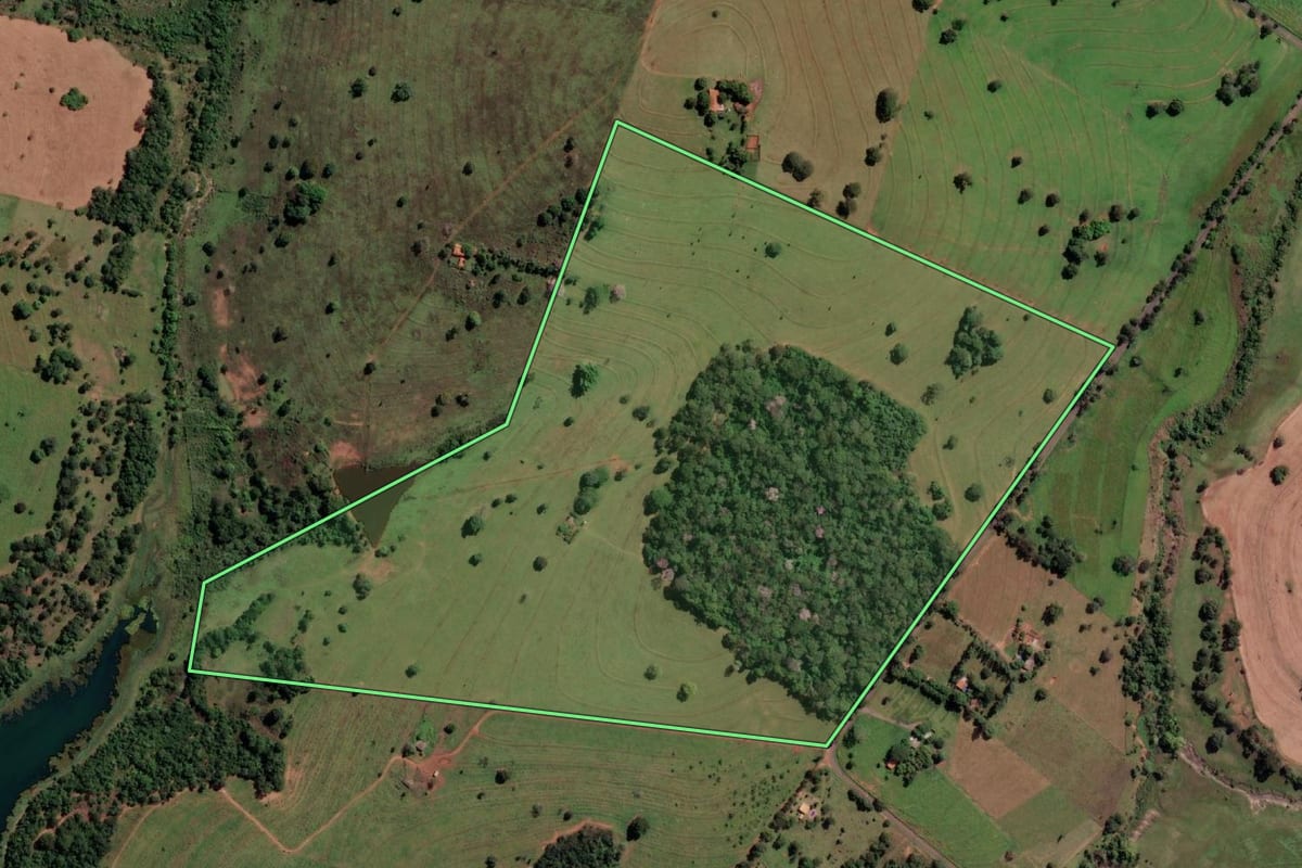 Imagem de satélite do imóvel rural em Santa Fé do Sul (SP), com o contorno declarado no CAR desenhado por cima.