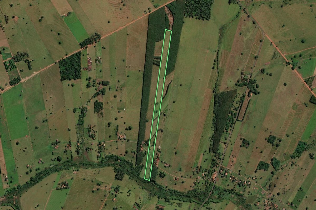 Imagem de satélite do imóvel rural em Santa Fé do Sul (SP), com o contorno declarado no CAR desenhado por cima.