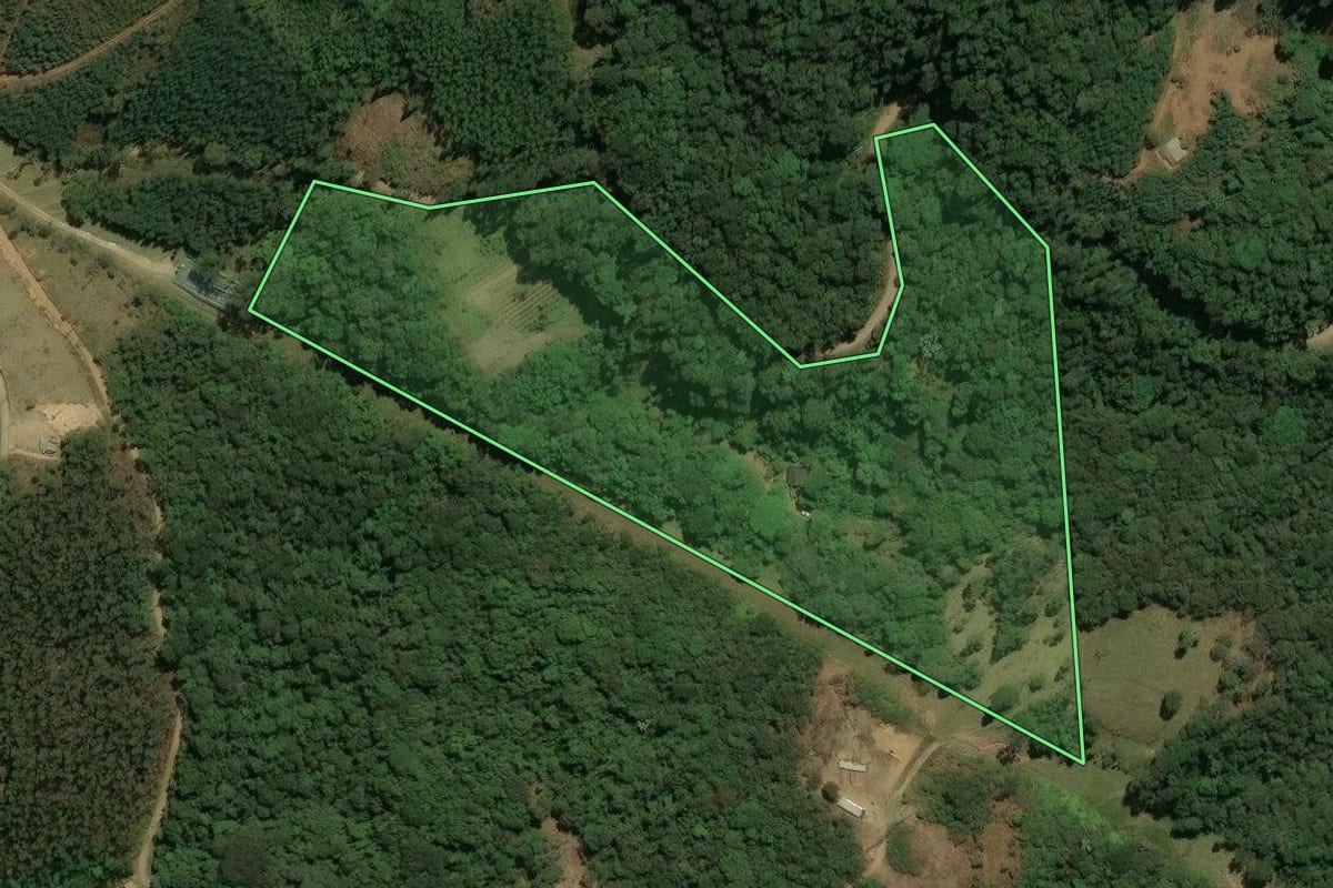 Imagem de satélite do imóvel rural em Santa Isabel (SP), com o contorno declarado no CAR desenhado por cima.