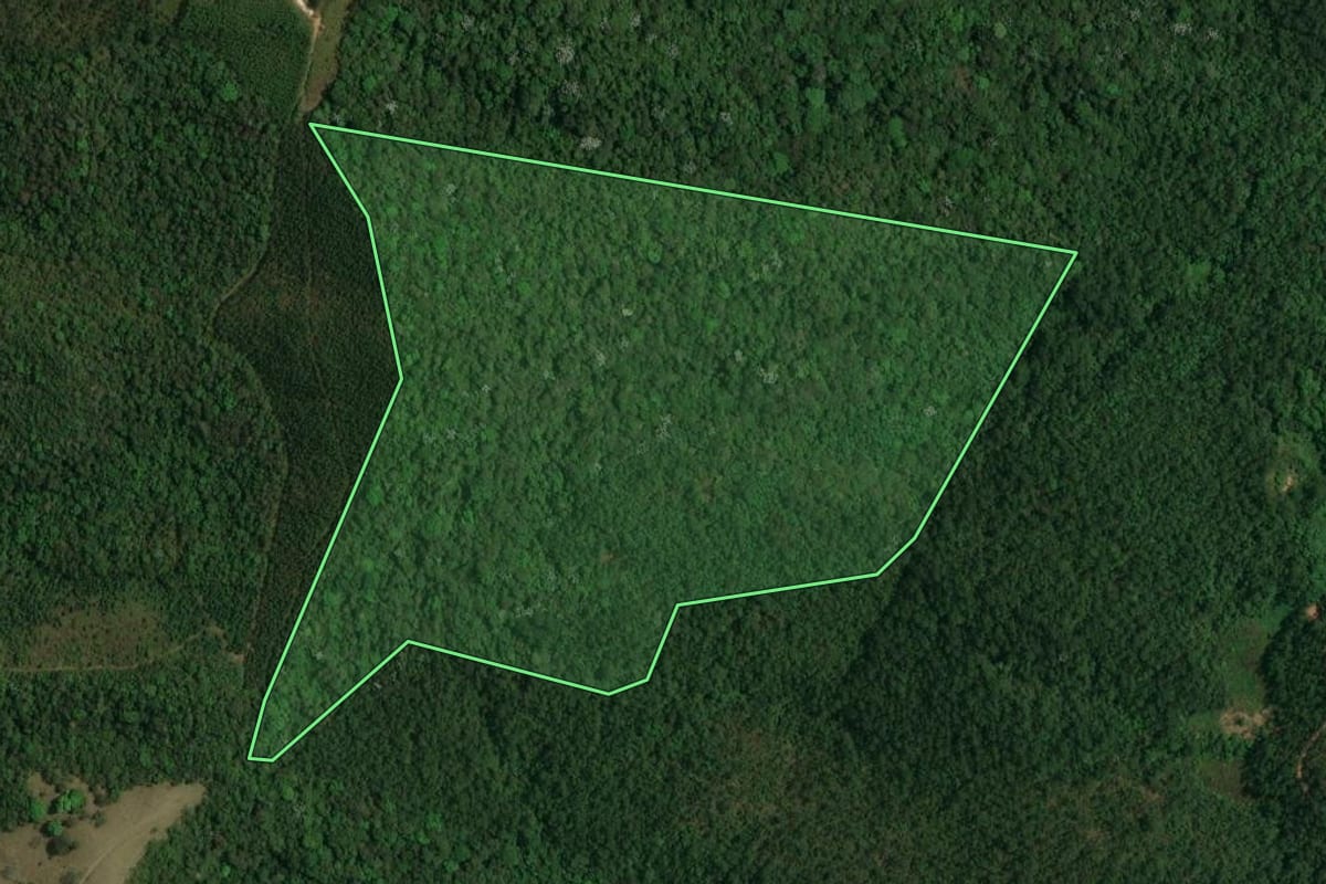 Imagem de satélite do imóvel rural em Santa Isabel (SP), com o contorno declarado no CAR desenhado por cima.
