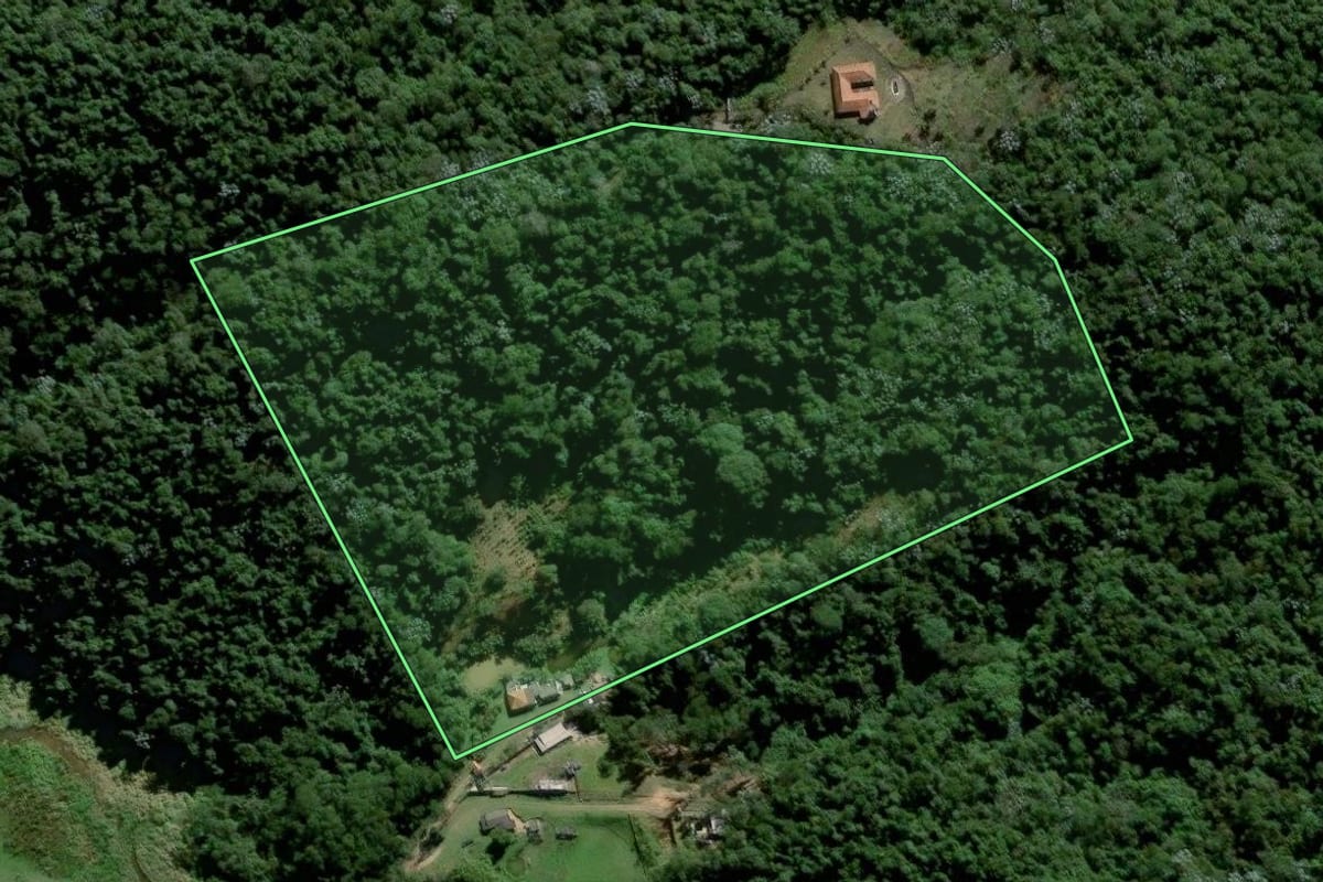 Imagem de satélite do imóvel rural em Santa Isabel (SP), com o contorno declarado no CAR desenhado por cima.