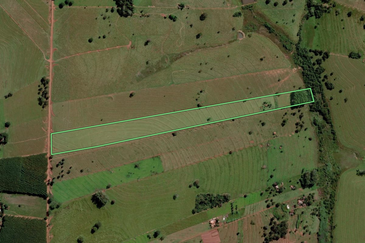 Imagem de satélite do imóvel rural em Santana da Ponte Pensa (SP), com o contorno declarado no CAR desenhado por cima.