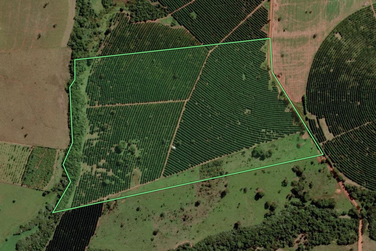Imagem de satélite do imóvel rural em Santana da Ponte Pensa (SP), com o contorno declarado no CAR desenhado por cima.