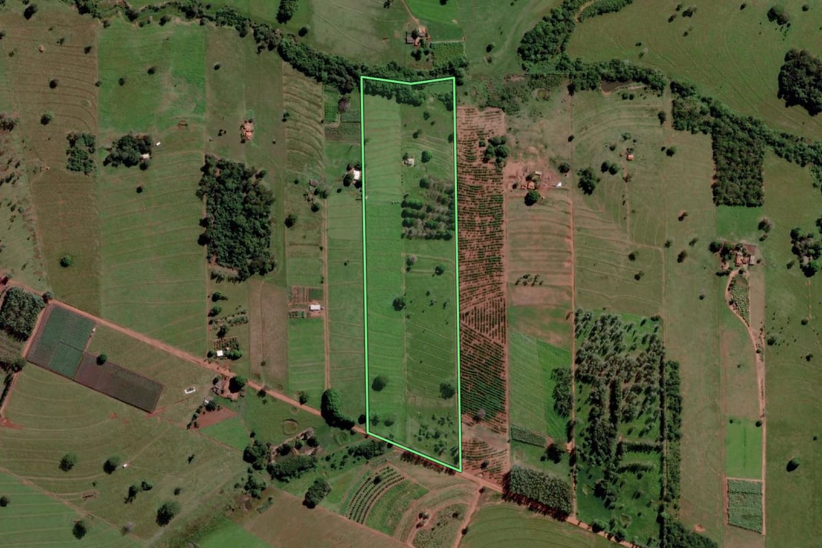 Imagem de satélite do imóvel rural em Santana da Ponte Pensa (SP), com o contorno declarado no CAR desenhado por cima.