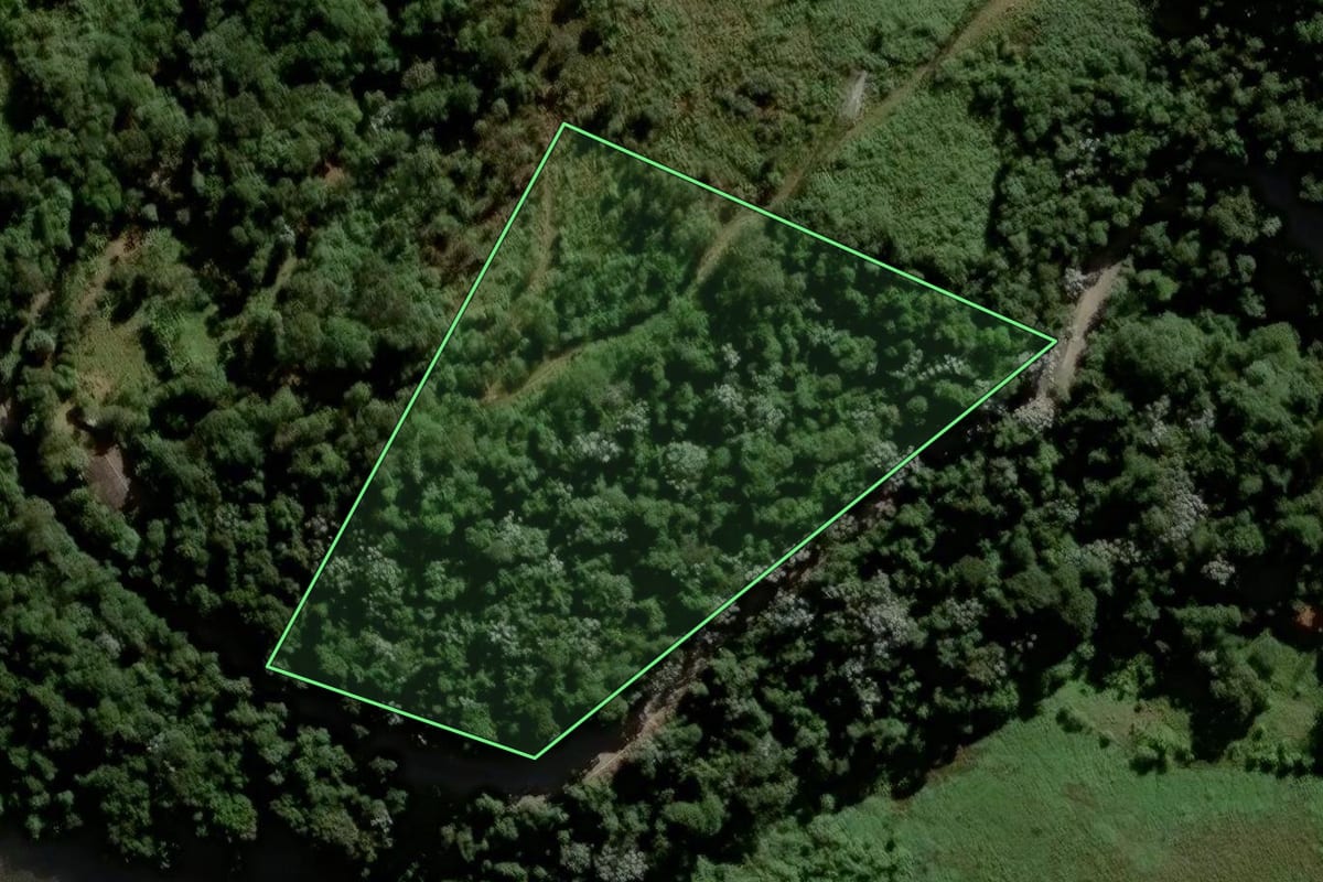 Imagem de satélite do imóvel rural em Santana de Parnaíba (SP), com o contorno declarado no CAR desenhado por cima.