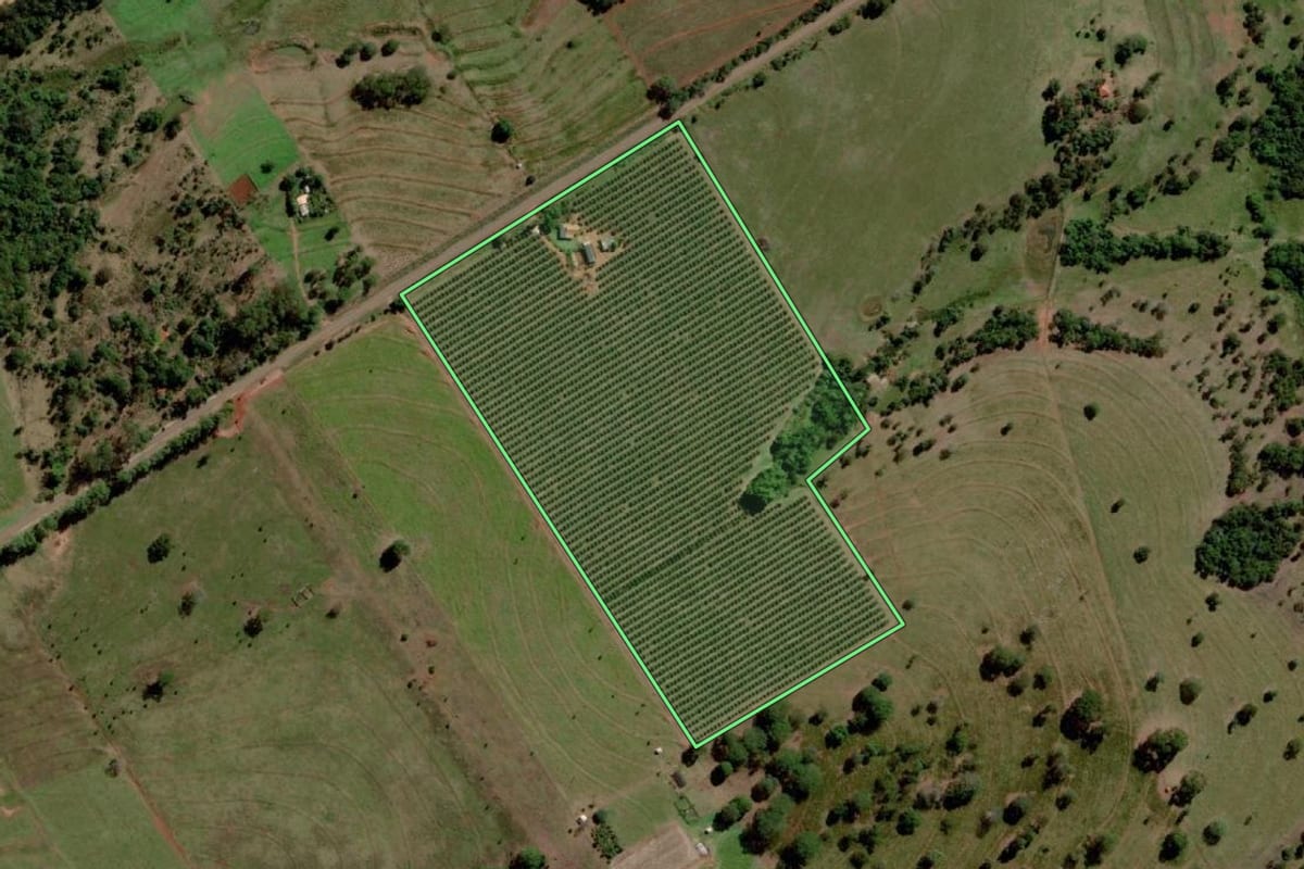 Imagem de satélite do imóvel rural em Santa Rita d'Oeste (SP), com o contorno declarado no CAR desenhado por cima.
