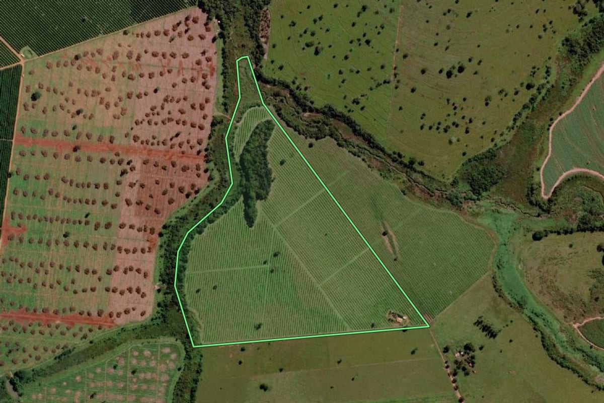 Imagem de satélite do imóvel rural em Santa Rita d'Oeste (SP), com o contorno declarado no CAR desenhado por cima.