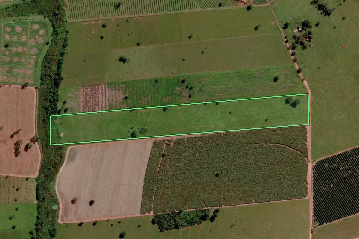 Imagem de satélite do imóvel rural em Santa Rita d'Oeste (SP), com o contorno declarado no CAR desenhado por cima.