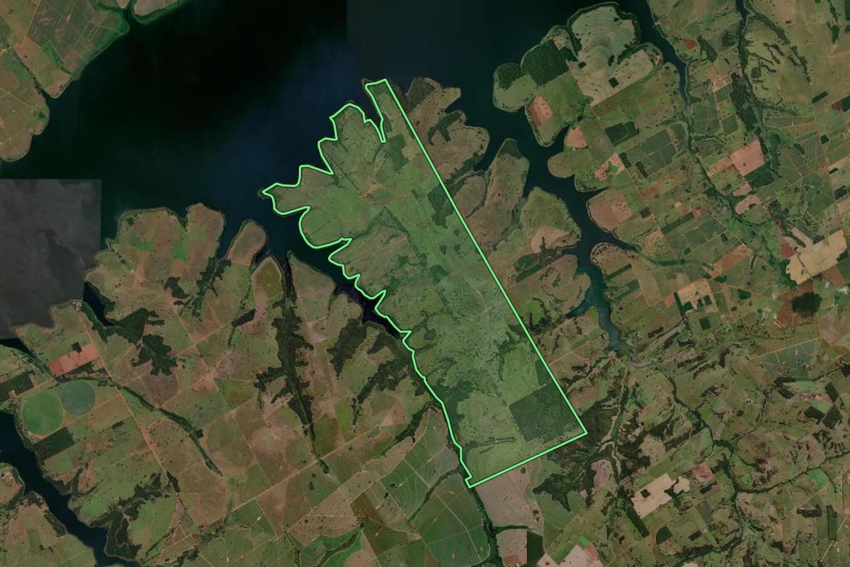 Imagem de satélite do imóvel rural em Santa Rita d'Oeste (SP), com o contorno declarado no CAR desenhado por cima.
