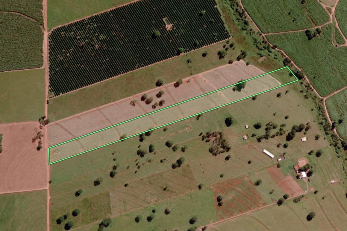 Imagem de satélite do imóvel rural em Santa Rita d'Oeste (SP), com o contorno declarado no CAR desenhado por cima.