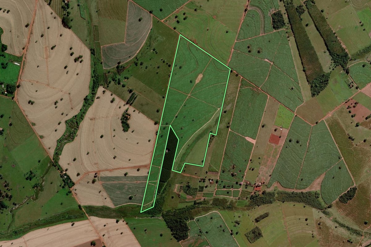 Imagem de satélite do imóvel rural em Santa Rita d'Oeste (SP), com o contorno declarado no CAR desenhado por cima.