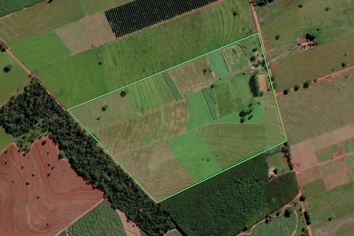 Imagem de satélite do imóvel rural em Santa Rita d'Oeste (SP), com o contorno declarado no CAR desenhado por cima.