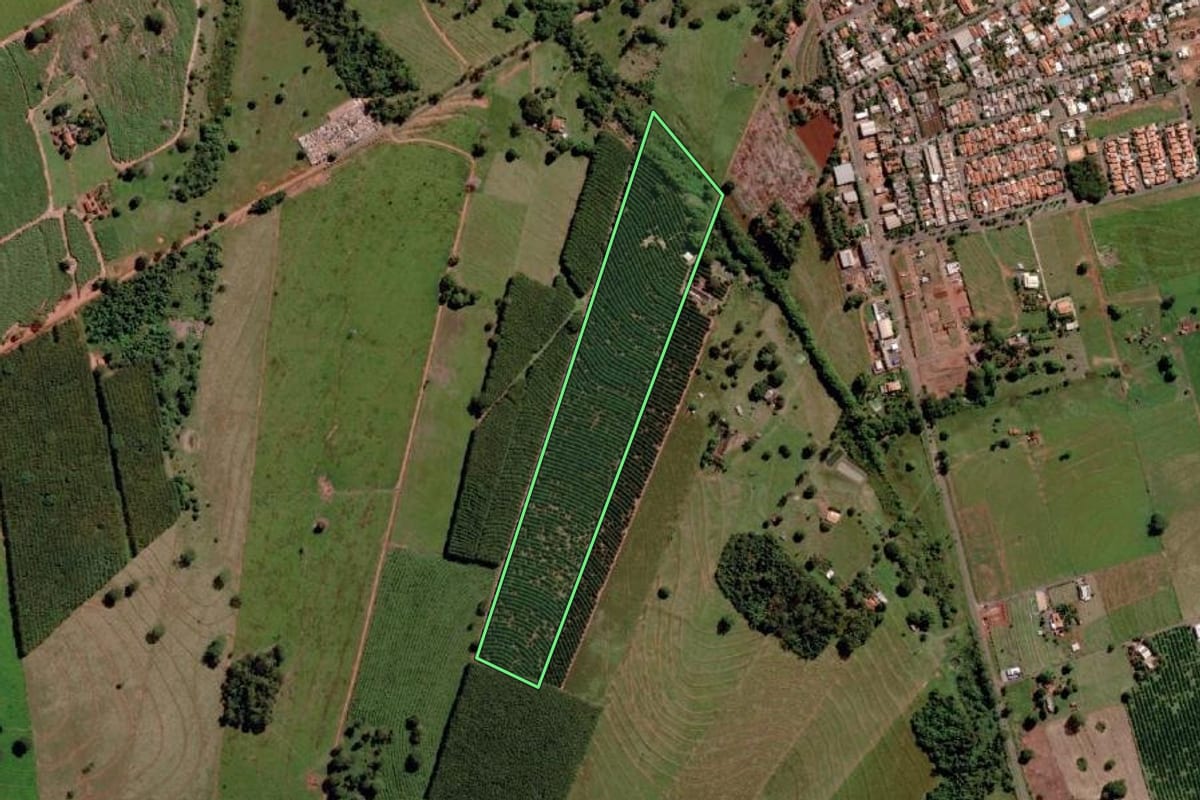 Imagem de satélite do imóvel rural em Santa Rita d'Oeste (SP), com o contorno declarado no CAR desenhado por cima.