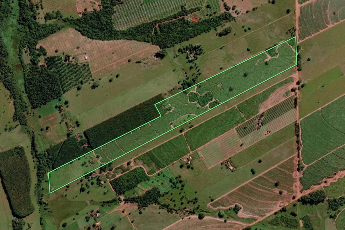 Imagem de satélite do imóvel rural em Santa Rita d'Oeste (SP), com o contorno declarado no CAR desenhado por cima.