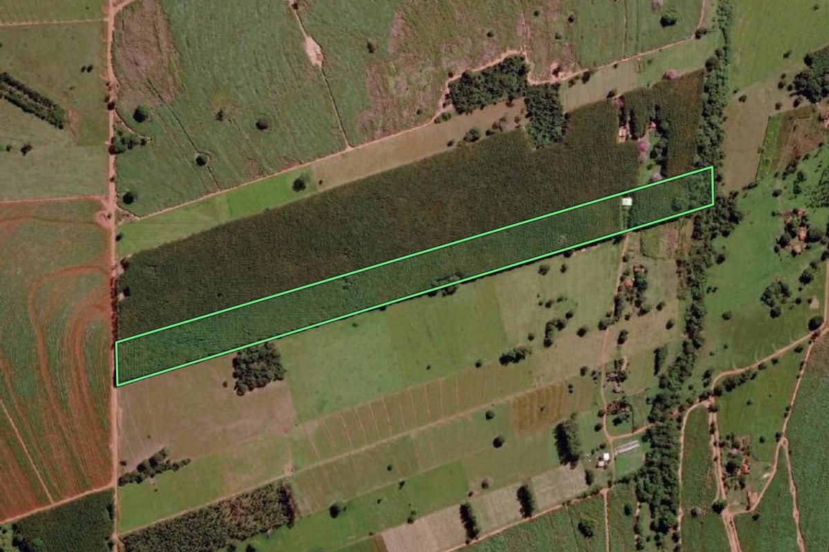 Imagem de satélite do imóvel rural em Santa Rita d'Oeste (SP), com o contorno declarado no CAR desenhado por cima.