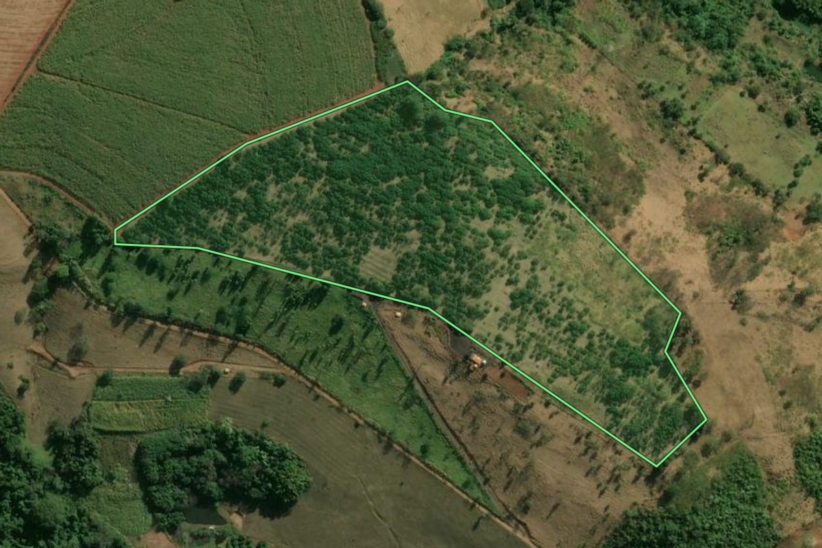 Imagem de satélite do imóvel rural em Santa Rita do Passa Quatro (SP), com o contorno declarado no CAR desenhado por cima.
