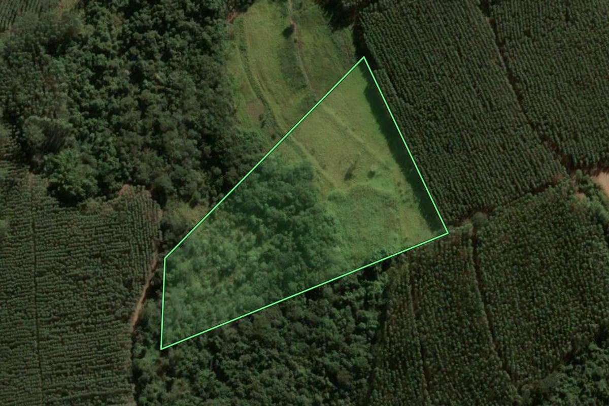 Imagem de satélite do imóvel rural em Santa Rita do Passa Quatro (SP), com o contorno declarado no CAR desenhado por cima.