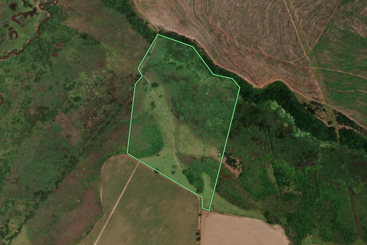Imagem de satélite do imóvel rural em Santa Rita do Passa Quatro (SP), com o contorno declarado no CAR desenhado por cima.