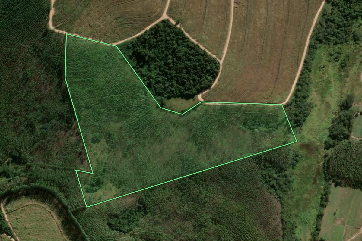 Imagem de satélite do imóvel rural em Santa Rita do Passa Quatro (SP), com o contorno declarado no CAR desenhado por cima.