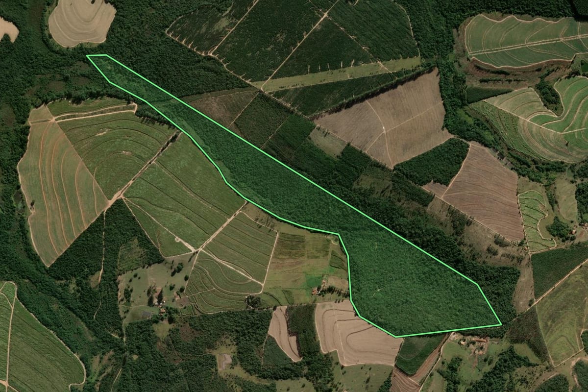 Imagem de satélite do imóvel rural em Santa Rita do Passa Quatro (SP), com o contorno declarado no CAR desenhado por cima.