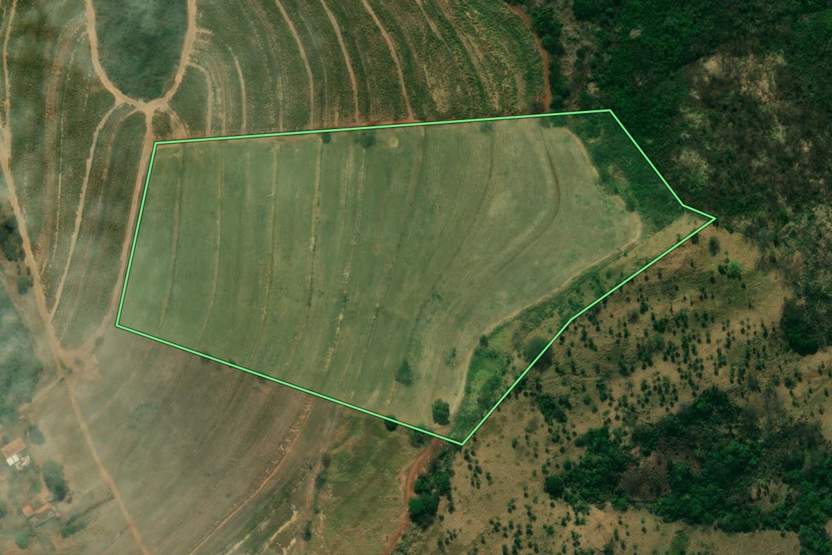 Imagem de satélite do imóvel rural em Santa Rosa de Viterbo (SP), com o contorno declarado no CAR desenhado por cima.