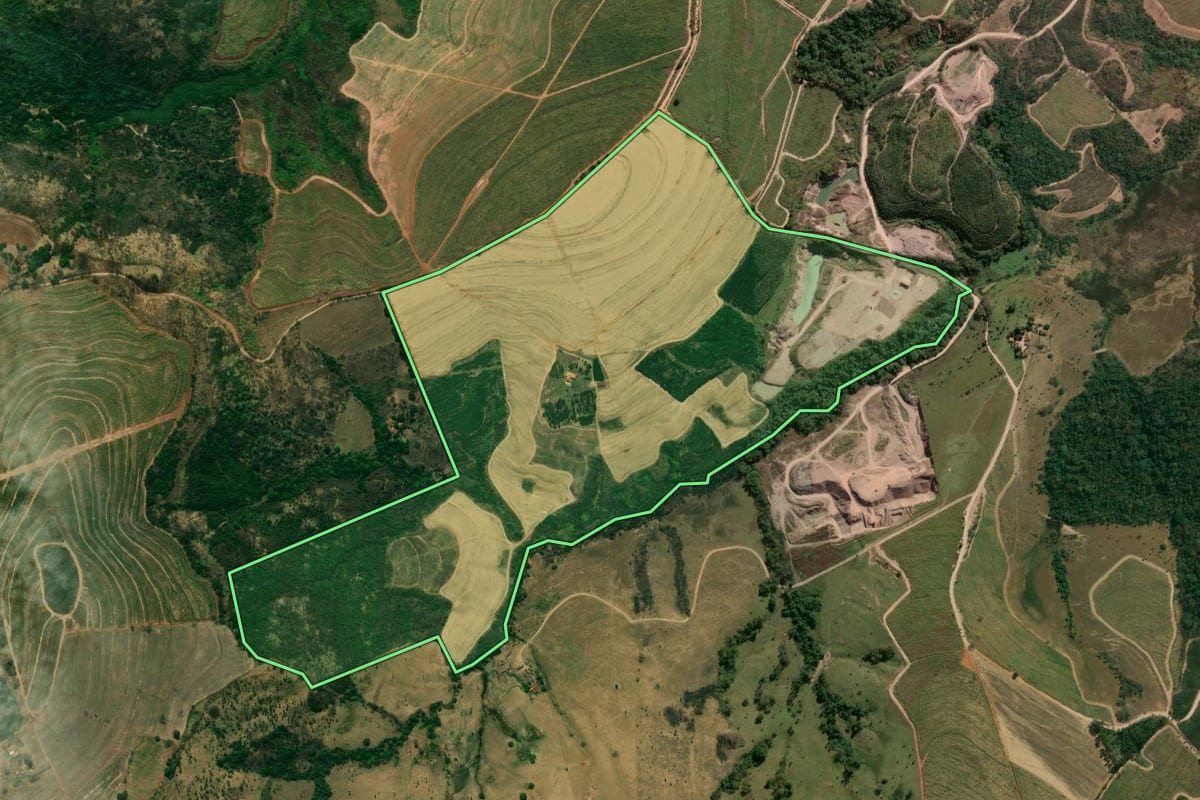 Imagem de satélite do imóvel rural em Santa Rosa de Viterbo (SP), com o contorno declarado no CAR desenhado por cima.