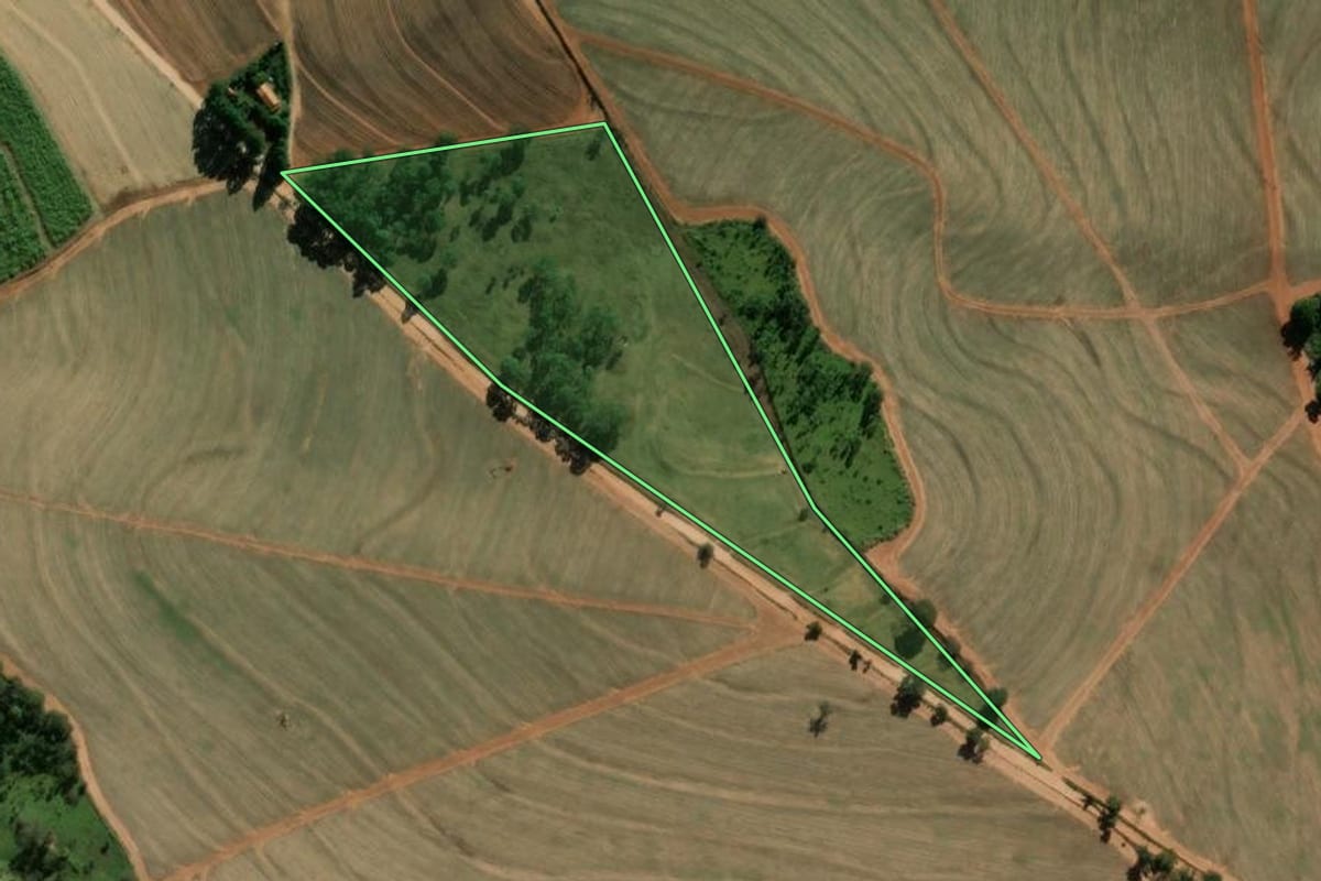 Imagem de satélite do imóvel rural em Santa Rosa de Viterbo (SP), com o contorno declarado no CAR desenhado por cima.