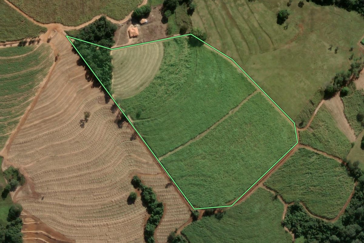 Imagem de satélite do imóvel rural em Santa Rosa de Viterbo (SP), com o contorno declarado no CAR desenhado por cima.