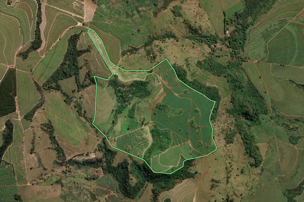 Imagem de satélite do imóvel rural em Santa Rosa de Viterbo (SP), com o contorno declarado no CAR desenhado por cima.