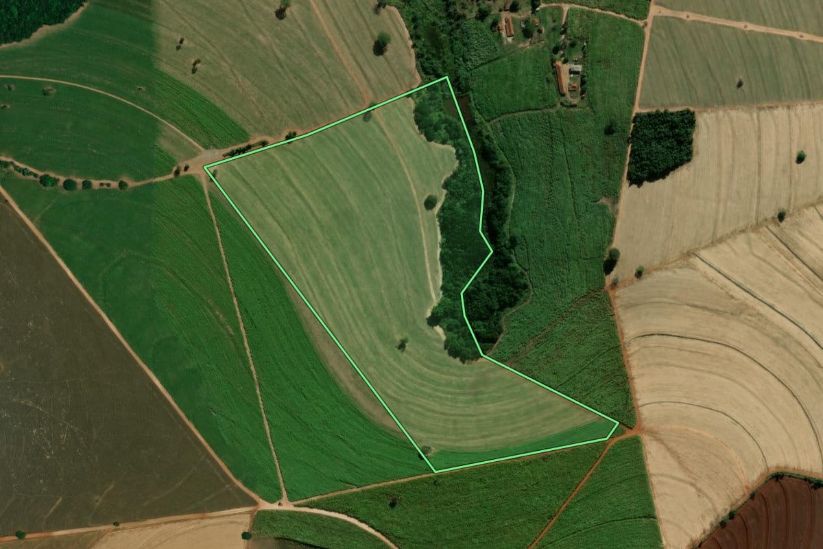 Imagem de satélite do imóvel rural em Santa Rosa de Viterbo (SP), com o contorno declarado no CAR desenhado por cima.