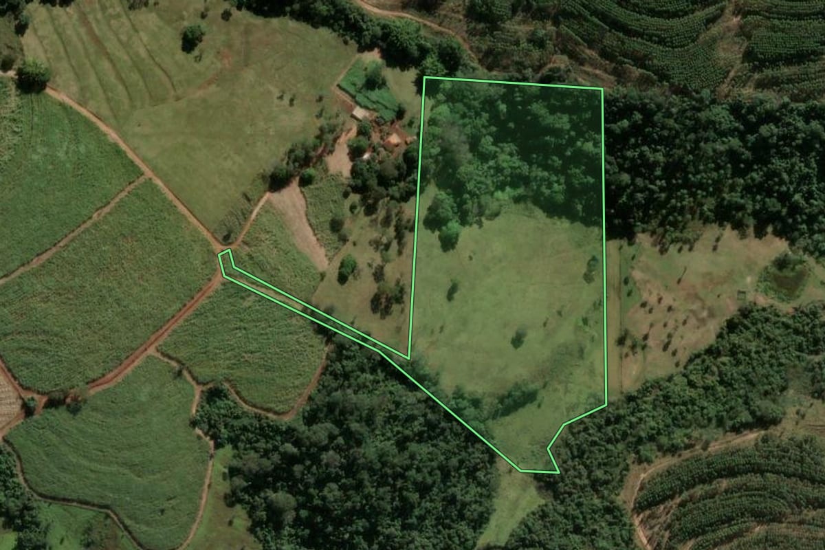 Imagem de satélite do imóvel rural em Santa Rosa de Viterbo (SP), com o contorno declarado no CAR desenhado por cima.