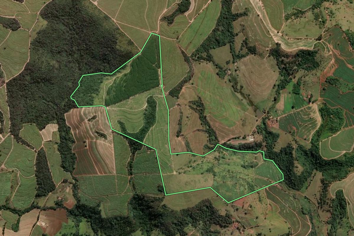 Imagem de satélite do imóvel rural em Santa Rosa de Viterbo (SP), com o contorno declarado no CAR desenhado por cima.