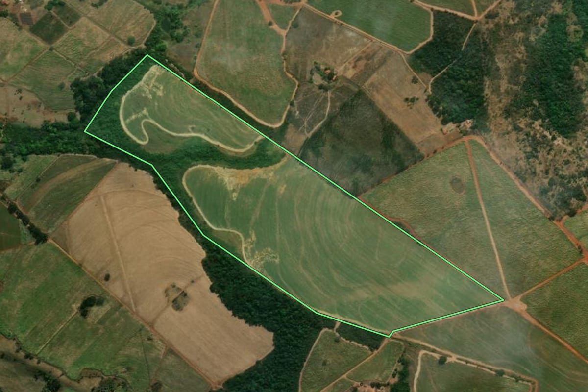 Imagem de satélite do imóvel rural em Santa Rosa de Viterbo (SP), com o contorno declarado no CAR desenhado por cima.