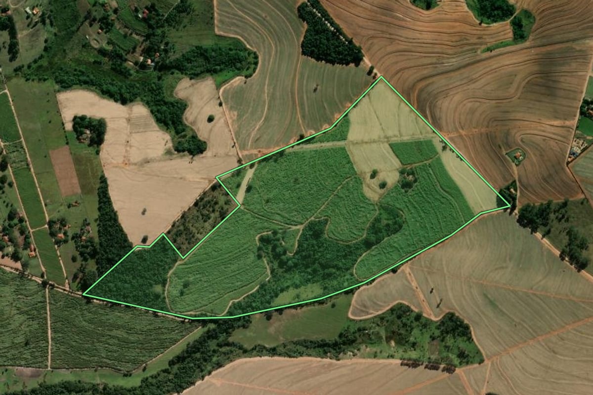 Imagem de satélite do imóvel rural em Santa Rosa de Viterbo (SP), com o contorno declarado no CAR desenhado por cima.