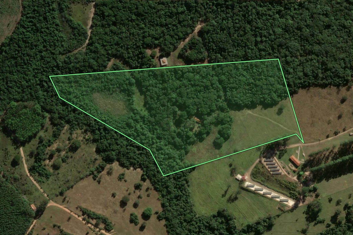 Imagem de satélite do imóvel rural em Santa Rosa de Viterbo (SP), com o contorno declarado no CAR desenhado por cima.