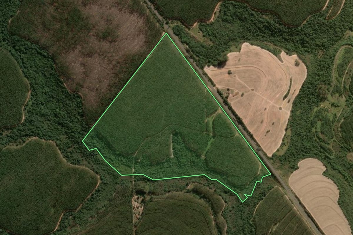 Imagem de satélite do imóvel rural em Santa Rosa de Viterbo (SP), com o contorno declarado no CAR desenhado por cima.
