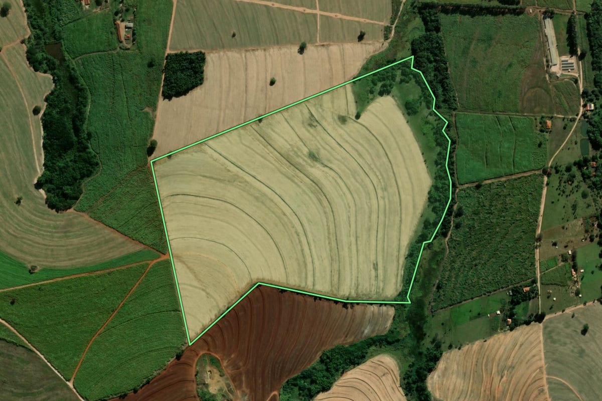 Imagem de satélite do imóvel rural em Santa Rosa de Viterbo (SP), com o contorno declarado no CAR desenhado por cima.