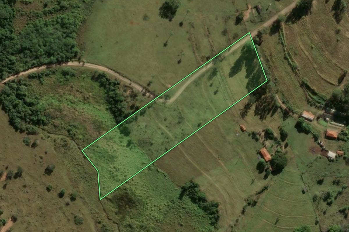 Imagem de satélite do imóvel rural em Santa Rosa de Viterbo (SP), com o contorno declarado no CAR desenhado por cima.