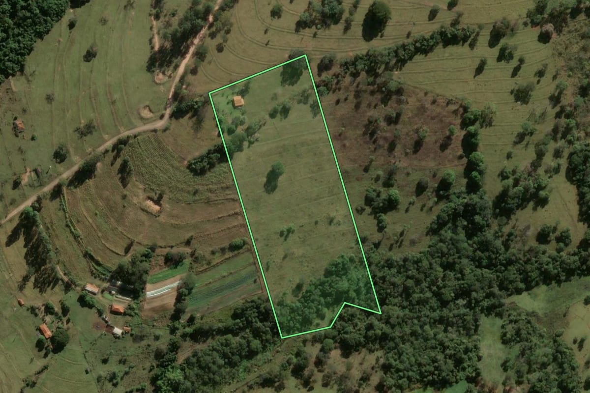 Imagem de satélite do imóvel rural em Santa Rosa de Viterbo (SP), com o contorno declarado no CAR desenhado por cima.