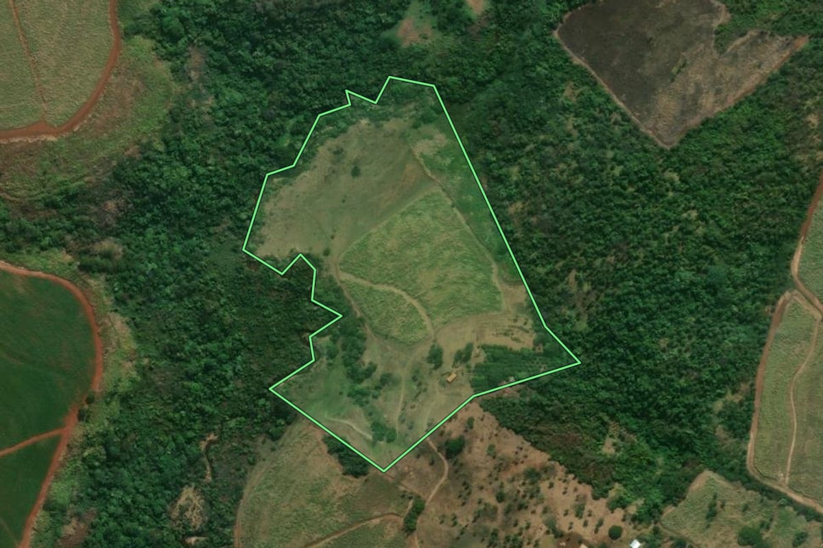 Imagem de satélite do imóvel rural em Santa Rosa de Viterbo (SP), com o contorno declarado no CAR desenhado por cima.