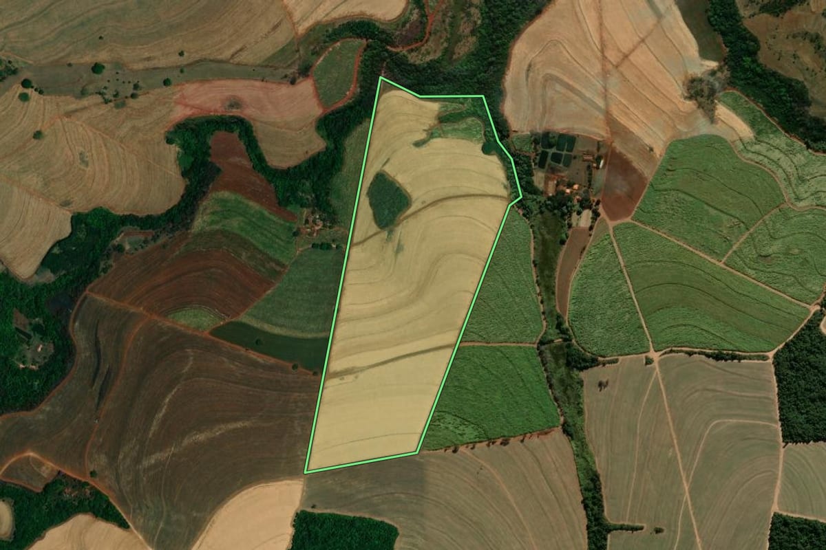 Imagem de satélite do imóvel rural em Santa Rosa de Viterbo (SP), com o contorno declarado no CAR desenhado por cima.