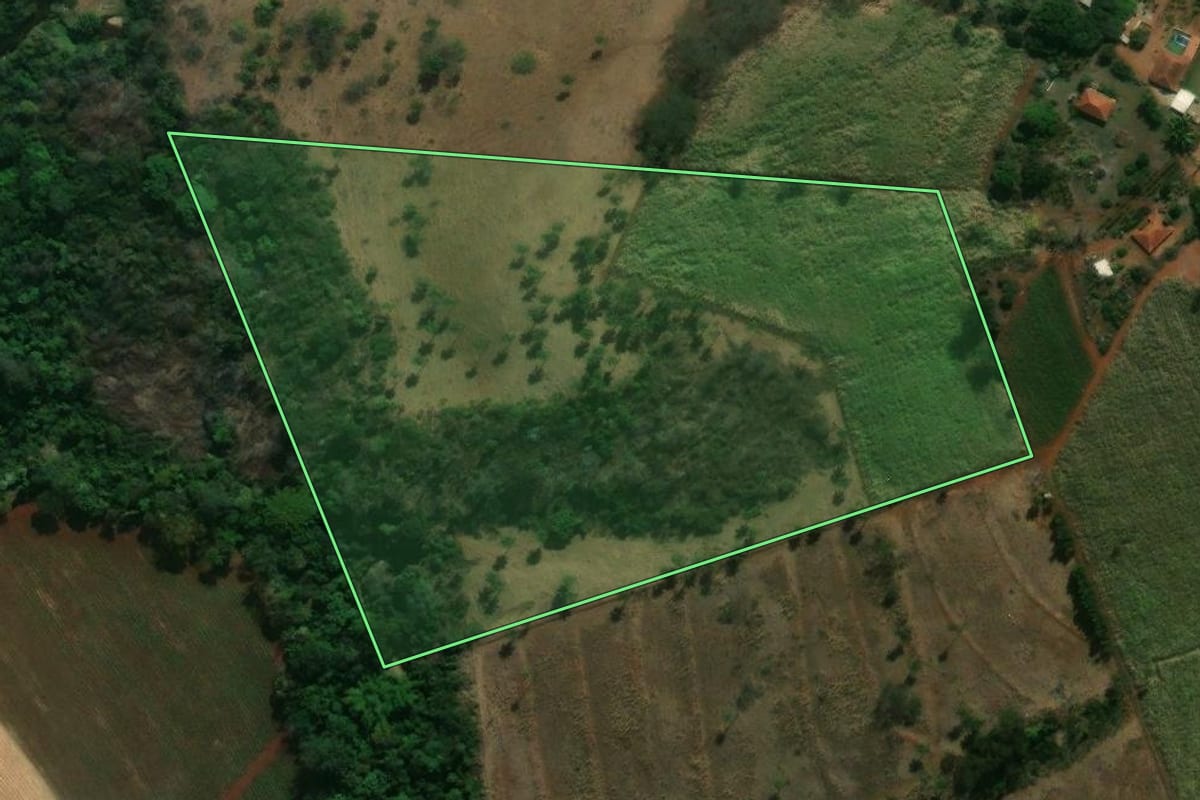 Imagem de satélite do imóvel rural em Santa Rosa de Viterbo (SP), com o contorno declarado no CAR desenhado por cima.