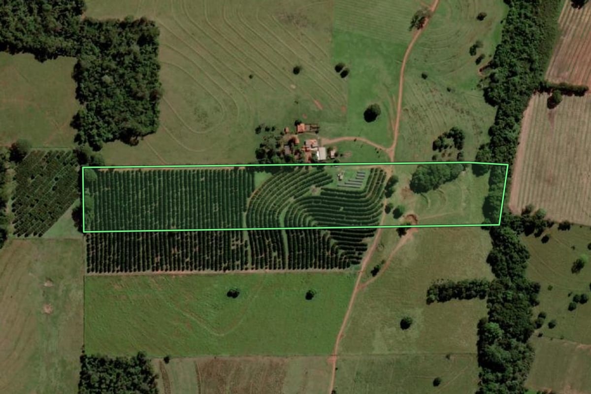 Imagem de satélite do imóvel rural em Santa Salete (SP), com o contorno declarado no CAR desenhado por cima.