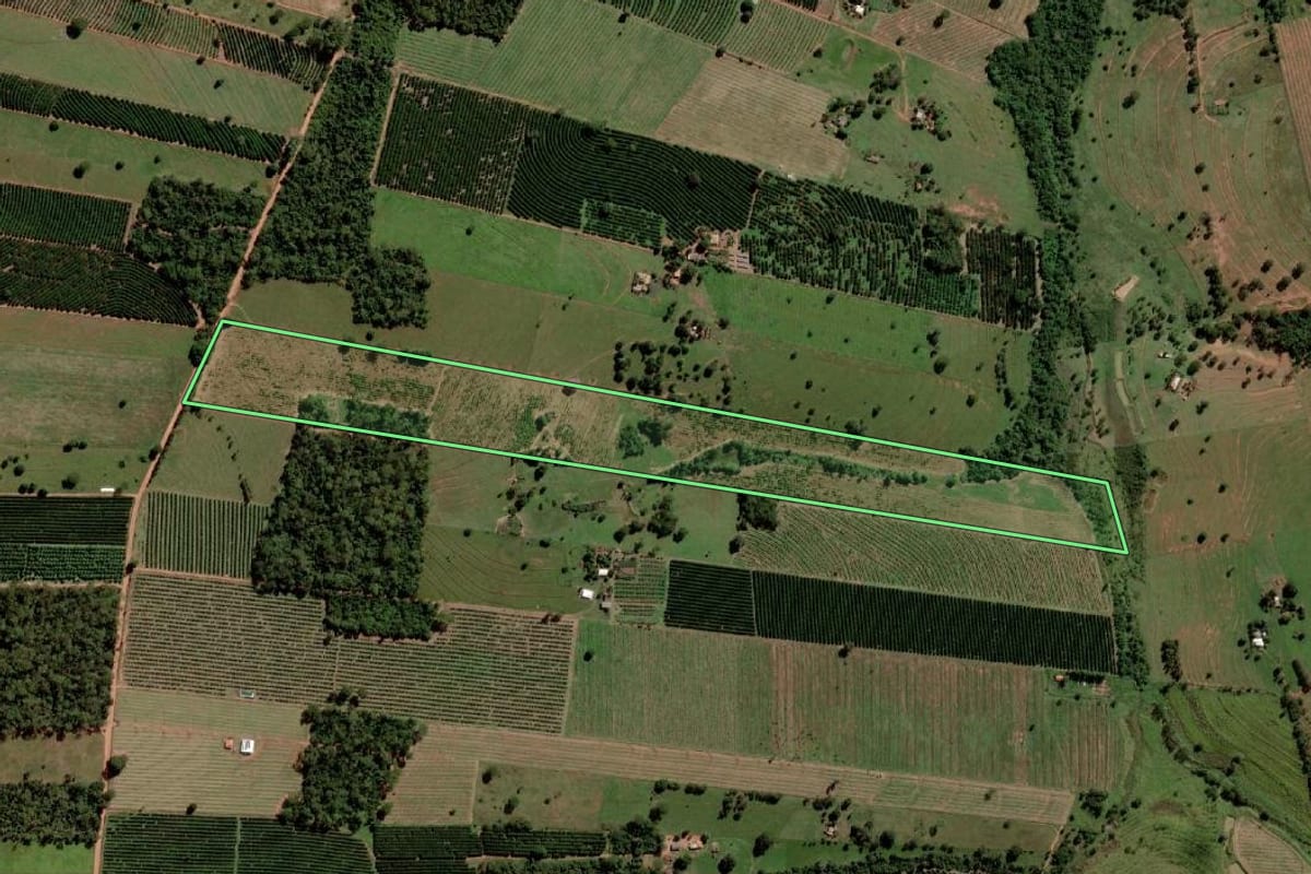 Imagem de satélite do imóvel rural em Santa Salete (SP), com o contorno declarado no CAR desenhado por cima.