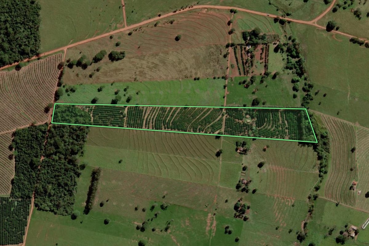 Imagem de satélite do imóvel rural em Santa Salete (SP), com o contorno declarado no CAR desenhado por cima.